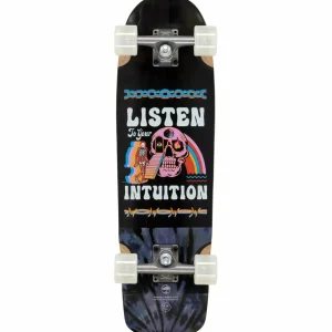 Arbor Pilsner Artist Cruiser Skateboard Complete