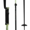Armada Ak Adjustable Ski Poles 2025