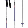Atomic AMT SQS Retro ARC Ski Poles 2025