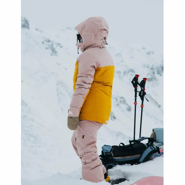 Women Burton AK Embark GORE-TEX 2L Jacket - Women's