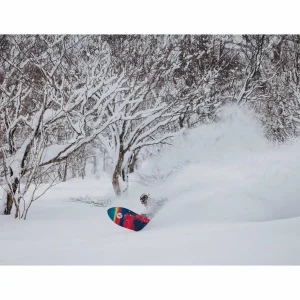 Burton Family Tree 3D Channel Surfer Snowboard 2025