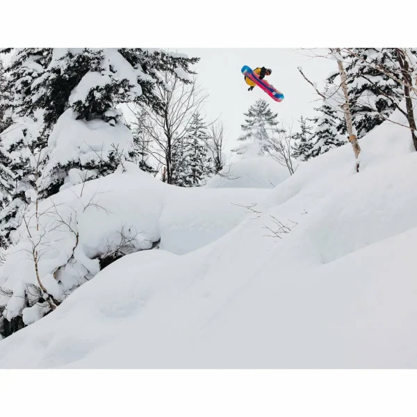 Burton Family Tree Hometown Hero Snowboard 2025