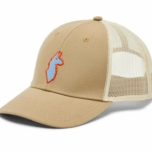 Women Cotopaxi Llama Trucker Hat