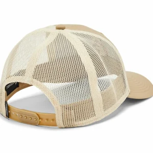 Women Cotopaxi Llama Trucker Hat