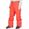 DC Banshee Pants - Men's