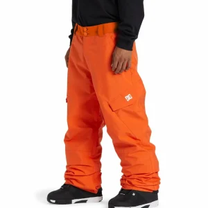 DC Banshee Pants - Men's