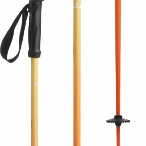 evo Merge Ski Poles 2025