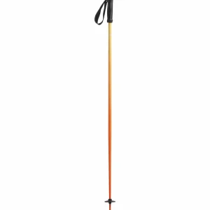 evo Merge Ski Poles 2025