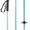 evo Merge Ski Poles 2025 - Used