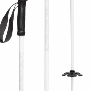 evo Refract Ski Poles