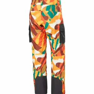Helly Hansen ULLR D Pants - Men's