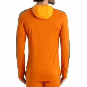 Icebreaker Merino 200 Sonebula Long-Sleeve Half Zip Hoodie - Men's