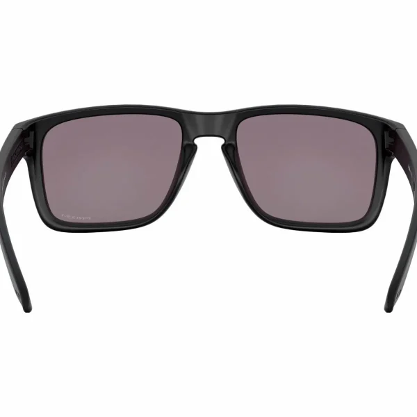 Women Oakley Holbrook XL Sunglasses