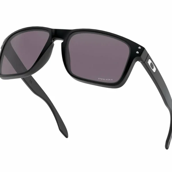 Women Oakley Holbrook XL Sunglasses