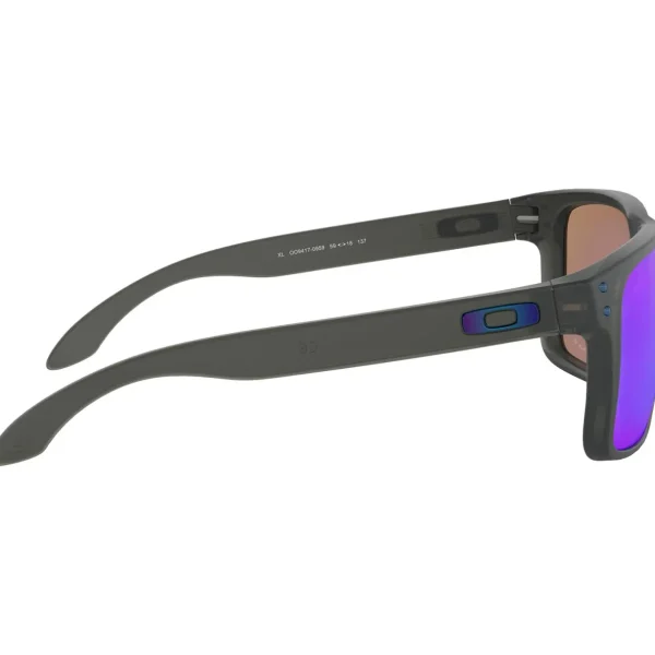 Women Oakley Holbrook XL Sunglasses