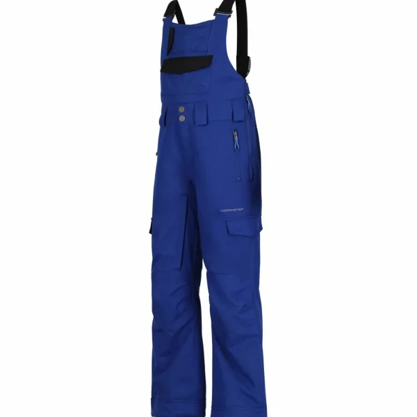 Kids Obermeyer Connor Bib Pants - Boys'