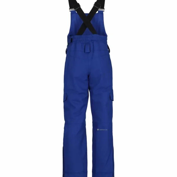 Kids Obermeyer Connor Bib Pants - Boys'