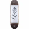 Pass~Port Invasive Species Scotch Thistle 8.25 Skateboard Deck