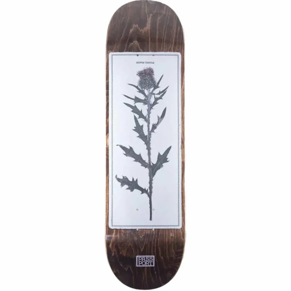 Pass~Port Invasive Species Scotch Thistle 8.25 Skateboard Deck