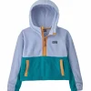 Kids Patagonia Microdini Cropped Hoodie Pullover Fleece - Kids'