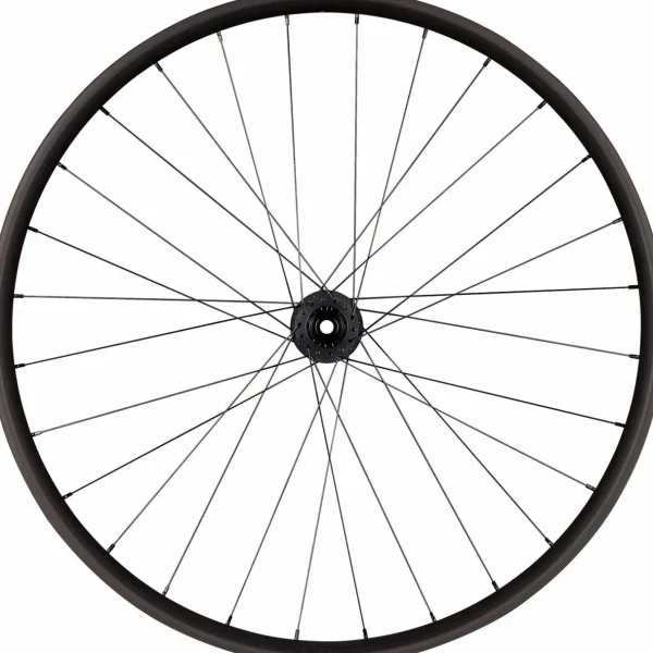 Roval Traverse Alloy 350 Wheel - 29"