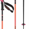 Salomon Polar Pro S3 Ski Poles 2025