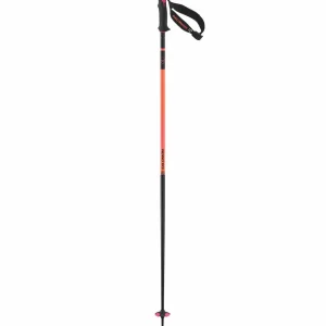 Salomon Polar Pro S3 Ski Poles 2025