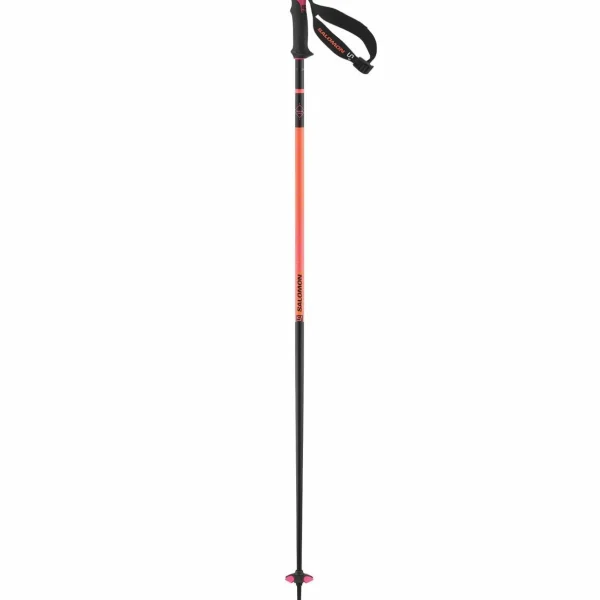 Salomon Polar Pro S3 Ski Poles 2025