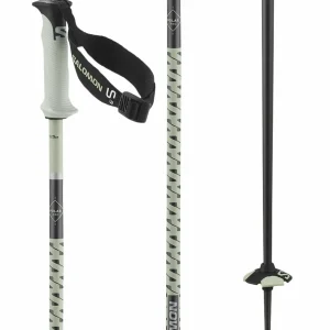 Salomon Polar Pro S3 Ski Poles 2025