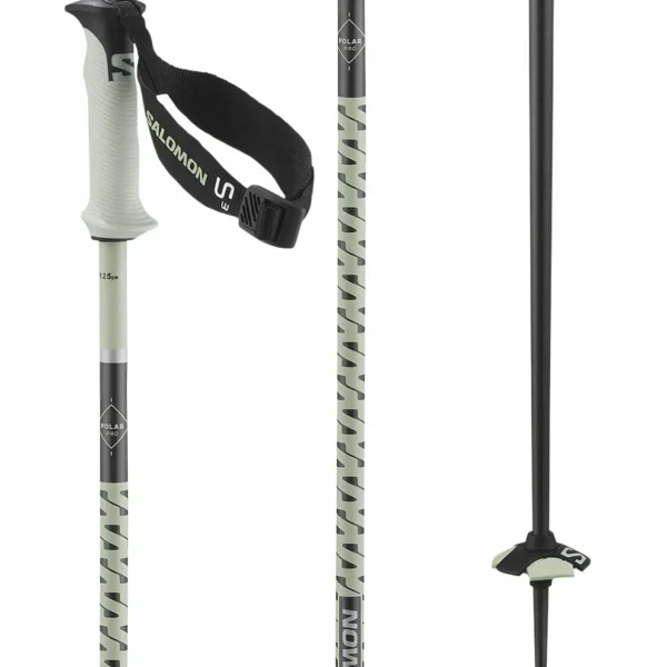 Salomon Polar Pro S3 Ski Poles 2025