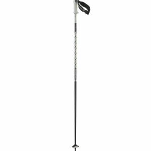 Salomon Polar Pro S3 Ski Poles 2025