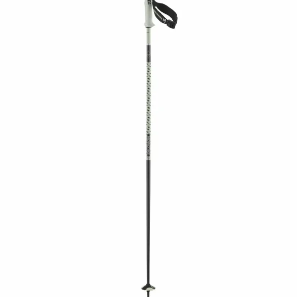 Salomon Polar Pro S3 Ski Poles 2025
