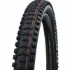 Schwalbe Big Betty Tire - 29"