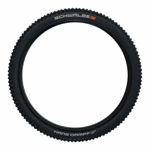 Schwalbe Hans Dampf Tire - 29