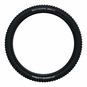 Schwalbe Tacky Chan Tire - 29