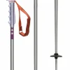 Season Primer Ski Poles 2025