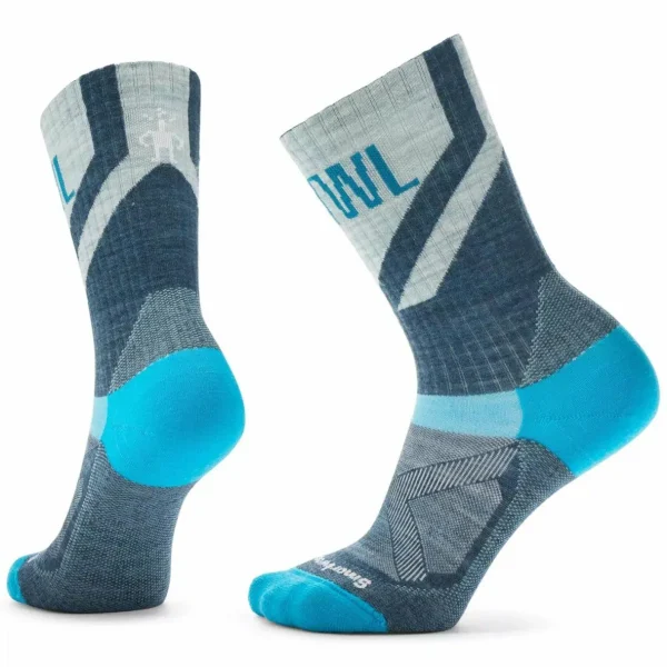 Smartwool Bike Zero Cushion Ribbed Crew Socks - Women's