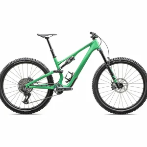 Specialized Stumpjumper 15 Expert Complete Mountain Bike 2025