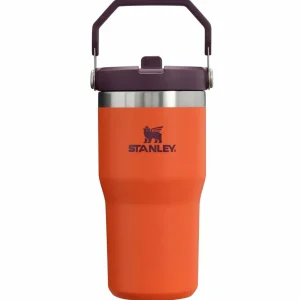 Women Stanley The IceFlow Flip Straw 20oz Tumbler