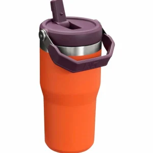Women Stanley The IceFlow Flip Straw 20oz Tumbler