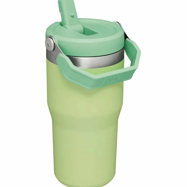 Women Stanley The IceFlow Flip Straw 20oz Tumbler