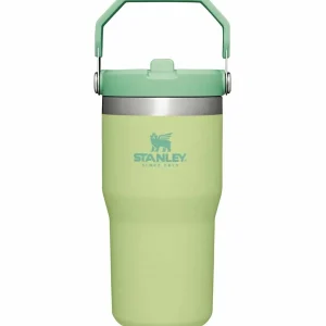 Women Stanley The IceFlow Flip Straw 20oz Tumbler