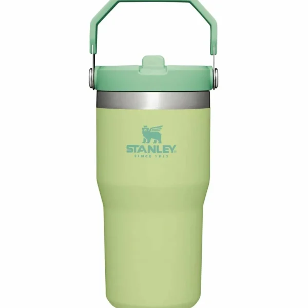 Women Stanley The IceFlow Flip Straw 20oz Tumbler
