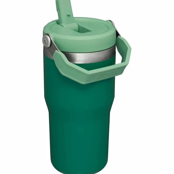 Women Stanley The IceFlow Flip Straw 20oz Tumbler