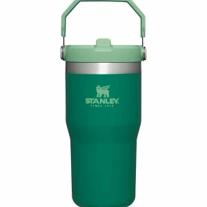 Women Stanley The IceFlow Flip Straw 20oz Tumbler