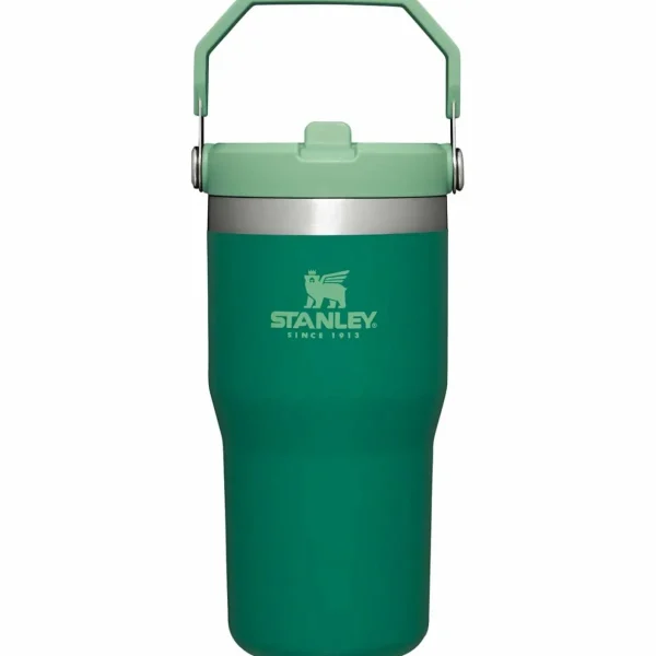 Women Stanley The IceFlow Flip Straw 20oz Tumbler