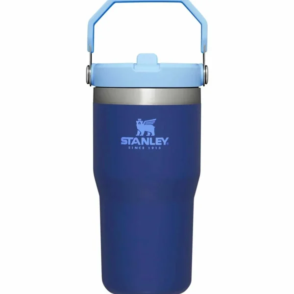 Women Stanley The IceFlow Flip Straw 20oz Tumbler