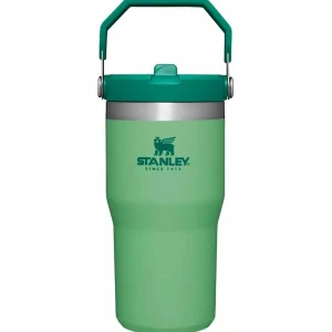 Women Stanley The IceFlow Flip Straw 20oz Tumbler