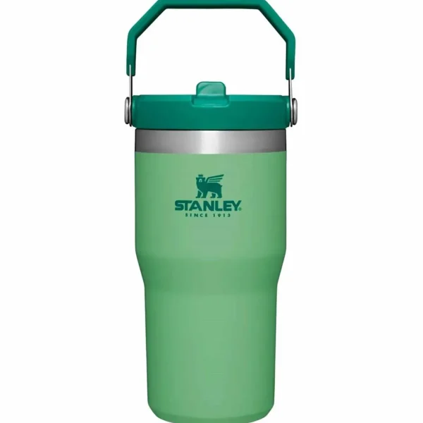 Women Stanley The IceFlow Flip Straw 20oz Tumbler