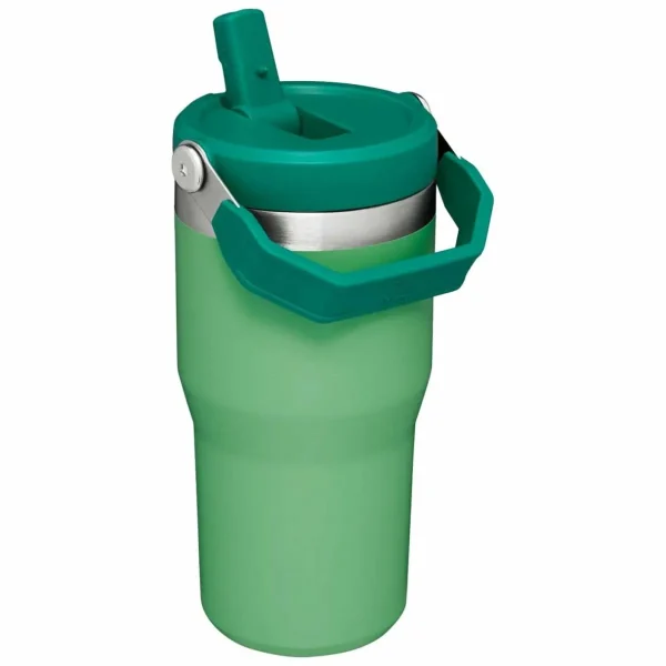 Women Stanley The IceFlow Flip Straw 20oz Tumbler
